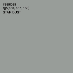 #999D99 - Star Dust Color Image